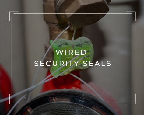 Wired Security Seals